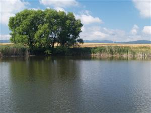 Celkový pohľad na lokalitu