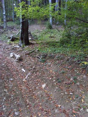 Koniec TML Smolnik