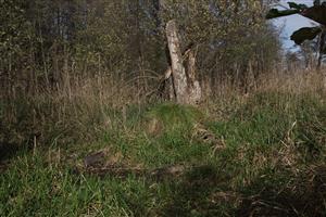Rudava bez vody