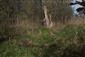 Rudava bez vody