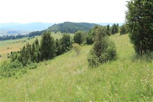 TML_5130_027_2018 pohľad na plochu
