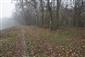 Biotop Morava 70.5 r.km