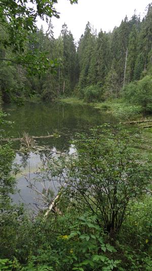 lokalita