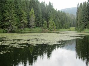 TML_3150_018, 2014_07_28, č .01