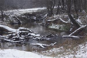 Biotop Ondriašov potok
