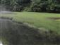 Prirodzené eutrofné a mezotrofné stojaté vody s vegetáciou plávajúcich a/alebo ponorených cievnatých rastlín typu Magnopotamion alebo Hydrocharition (28.7.2014)
