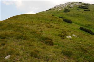 Celkovy pohlad na vapencovu ciapku na Grapoch vytvarajuci vhodny geologicky substrat pre tento typ biotopu