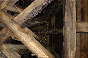 časť kolónie Mmyo vo veži