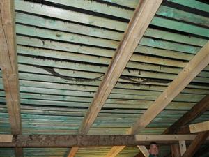 paropriepustné membrány sú potrhané netopiermi už po prvej sezóne od rekonštrukcie