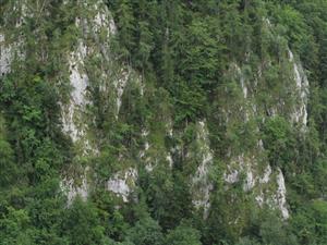 pohľad na časť TML - skalné bralá s Daphne arbuscula