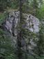 Pohľad na skalné bralo - biotop s Daphne arbuscula