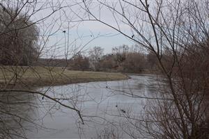 Biotop Morava 70,5 r.km