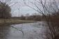 Biotop Morava 70,5 r.km