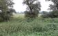 Habitat lokality
