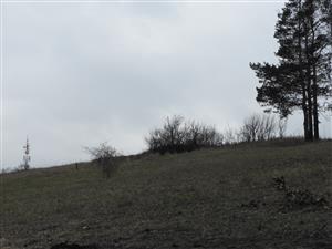 Pohľad na lokalitu.