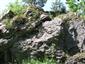 Karbonátové skalné steny a svahy so štrbinovou vegetáciou (13.6.2019)