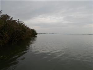 Koniec TML 1