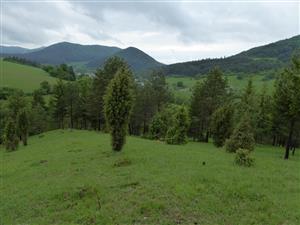 pohľad na lokalitu zhora, v hornej časti sa vyskytujú borievky