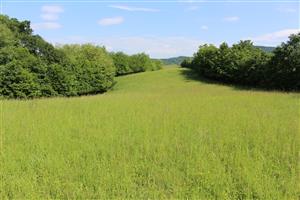 Záber na monitorovaný biotop.