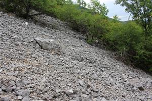 Záber na monitorovaný biotop.