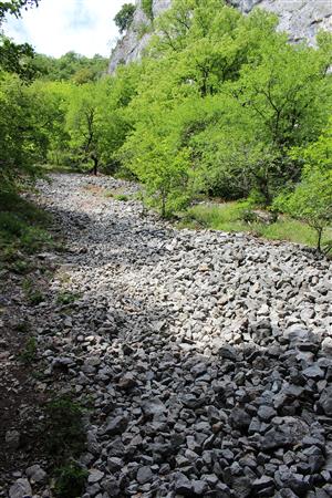 Záber na monitorovaný biotop.