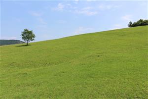 Záber na monitorovaný biotop.