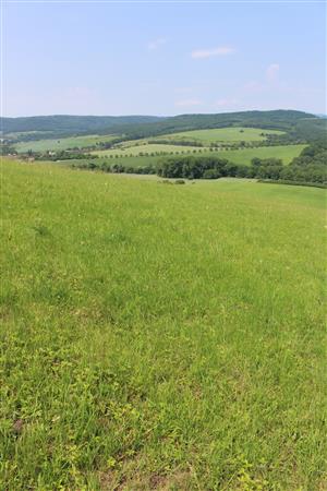 Záber na monitorovaný biotop.