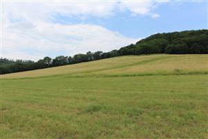 Záber na monitorovaný biotop.