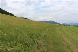 Záber na monitorovaný biotop.