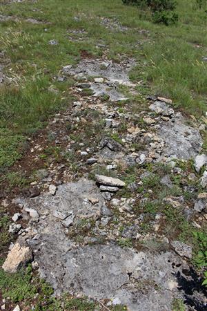 Záber na monitorovaný biotop.