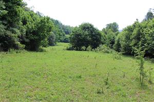 Záber na monitorovaný biotop.