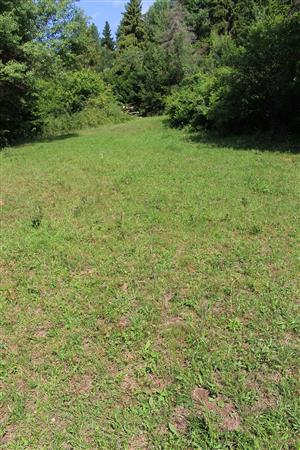 Záber na monitorovaný biotop.