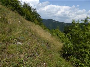 pohľad na lokalitu