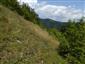 Suchomilné travinnobylinné a krovinové porasty na vápnitom podloží (*dôležité stanovištia Orchideaceae) (4.6.2019)