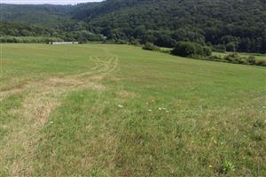 Záber na monitorovaný biotop.