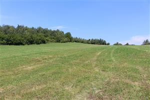 Záber na monitorovaný biotop.