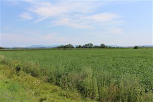 Záber na monitorovanú lokalitu.