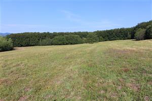 Záber na monitorovaný biotop.