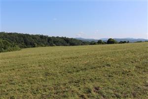 Záber na monitorovaný biotop.