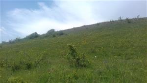 Pohľad na plochu TML_6210_440