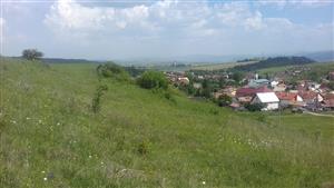 Pohľad na západnú časť plochy TML_6210_440