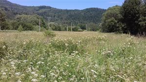 Pohľad na TML_6510_862_01