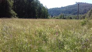 pohľad na TML_6510_862_01