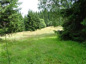 charakter plochy v nižšej časti lokality