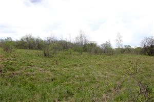 Pohľad na strednú časť TML