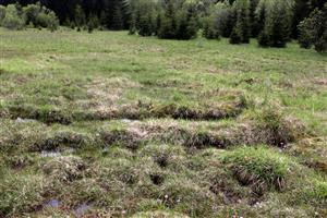 Stopy po ťažkej technike viditeľné vo zvodnenej časti TML