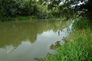 Pohľad proti prúdu z rovnakého miesta ako TML_OphiCeci_019_20140624_001.