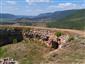 jašterica múrová (28.8.2019)