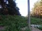 užovka stromová (26.6.2019)