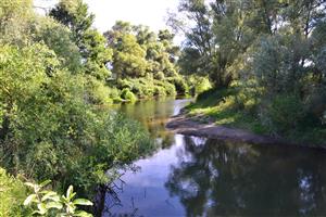 Tešmák, Ipeľ TML 012, meander v strede, pohľad proti prúdu s akumulačným úsekom na maďarské strane Ipľa.